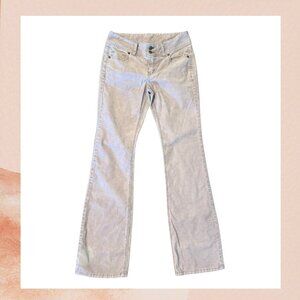 London Jean Light Lavender Gray Corduroy Bootcut Pants